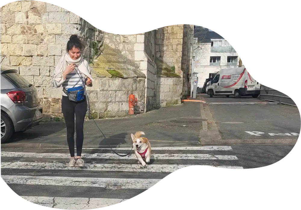 img-8-69aeaba80e1aa copie